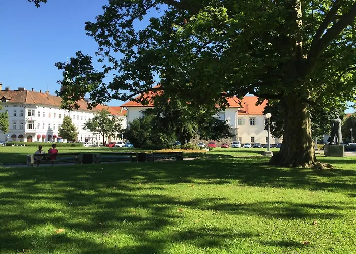 Apartment Sunrise With Private Parking